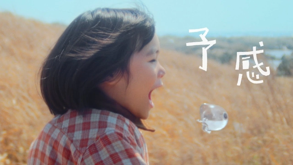 Tota Yokan