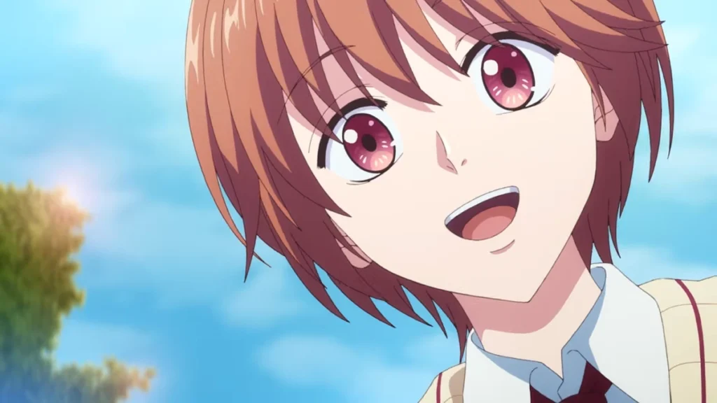 Hana-Kimi Anime