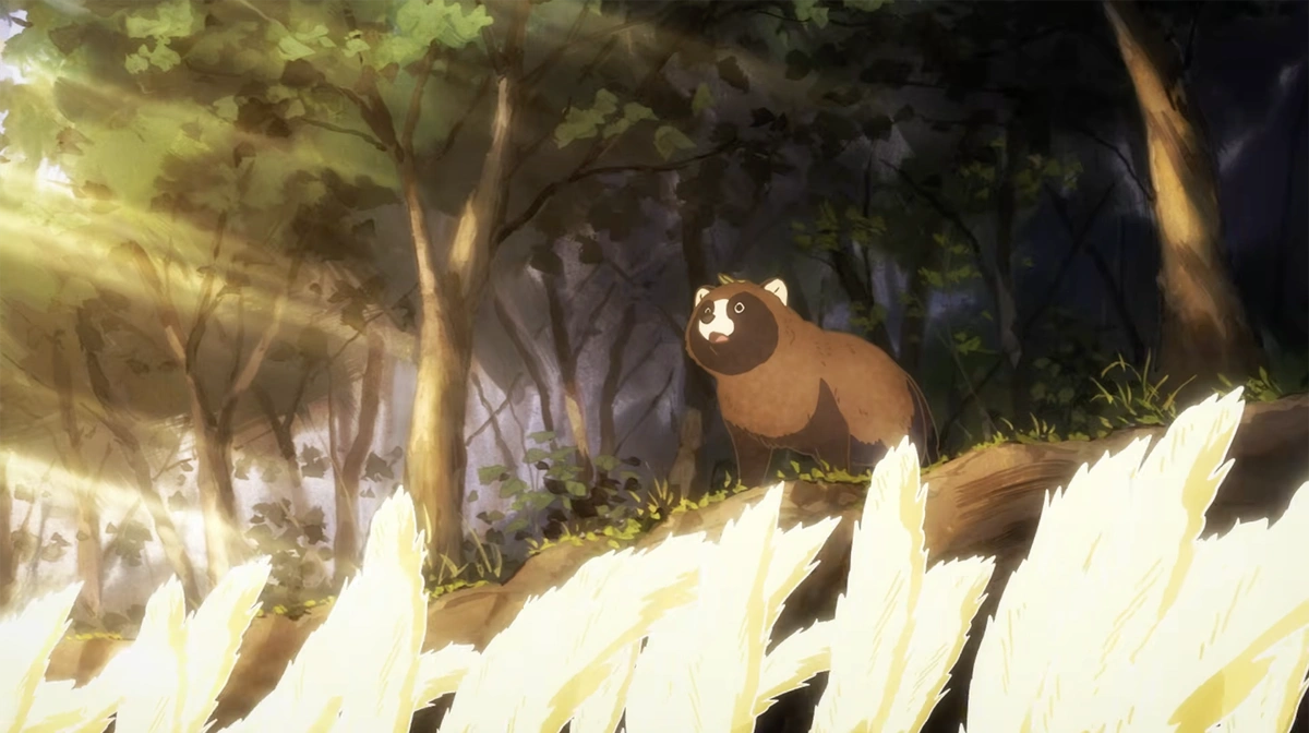 Omae, Tanuki ni Narane ka