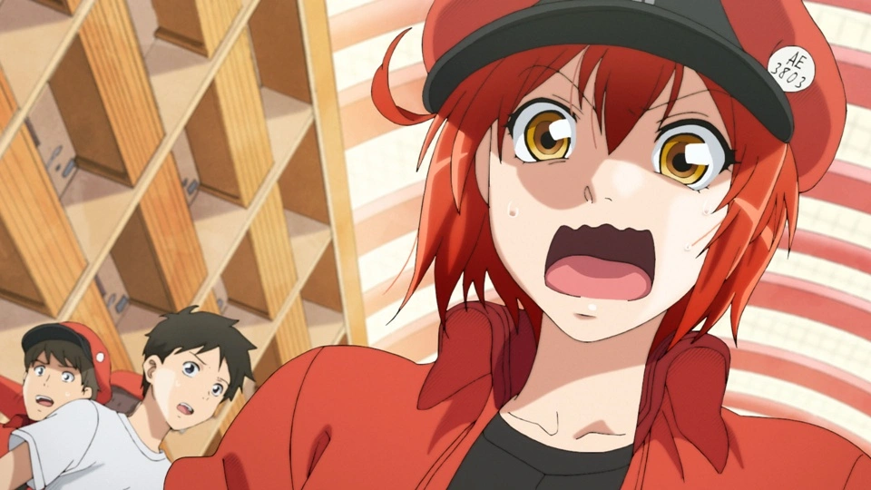 Cells at Work